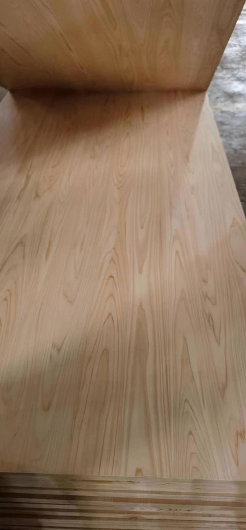 檜木地板與其他木質(zhì)地板的比較與選擇指南