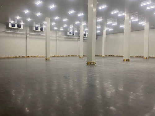 貨運(yùn)物流中的信譽(yù)與專(zhuān)業(yè)服務(wù) 化工品、冷鏈整車(chē)與零擔(dān)運(yùn)輸解析