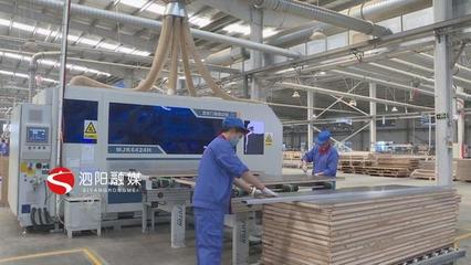 泗陽 積極引導(dǎo)加快轉(zhuǎn)型，推動木材加工和家具制造業(yè)做大做強