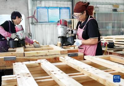 河北唐山 鄉(xiāng)村工廠里的“木板”致富經(jīng)